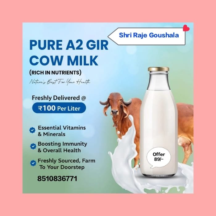 A2 Desi Cow Milk - Shri Raje Gaushala desi cow product